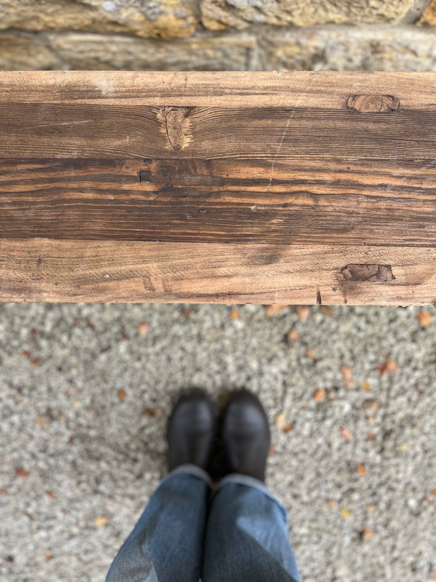 Rustic Elm bench