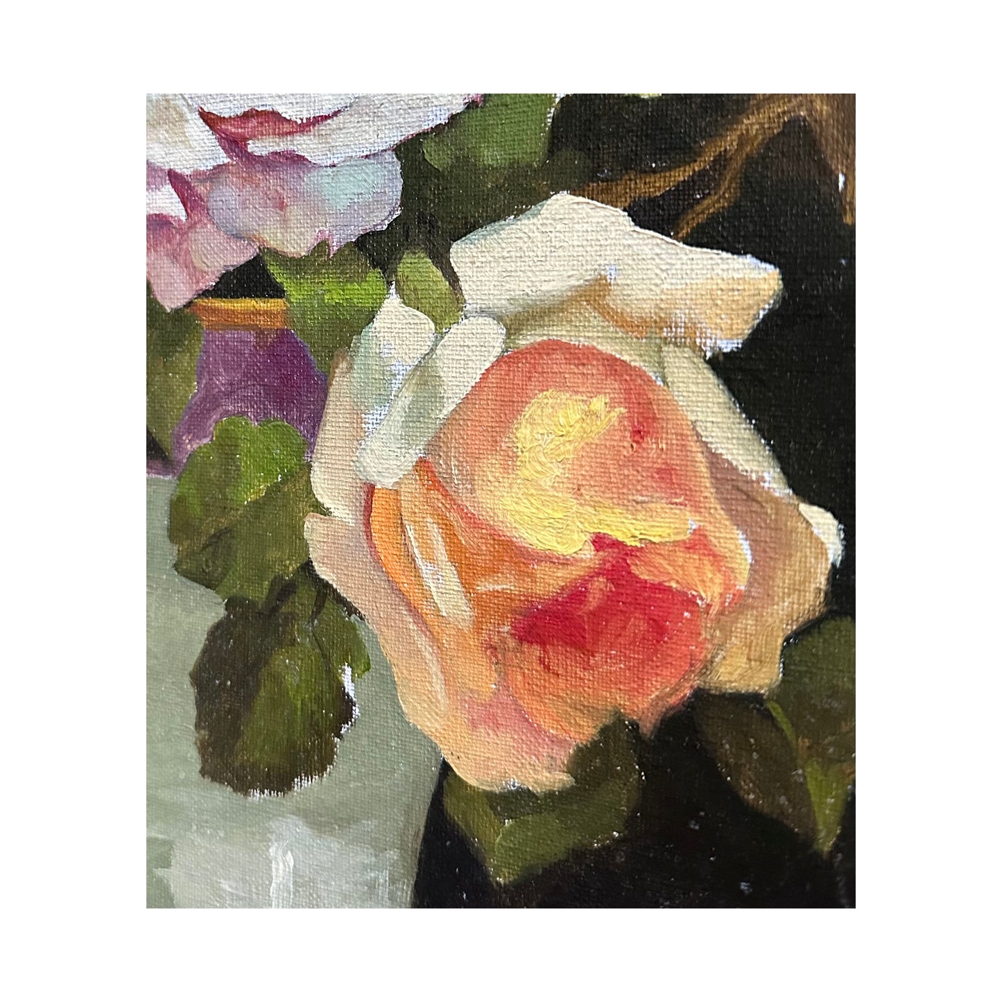 Colourful Roses