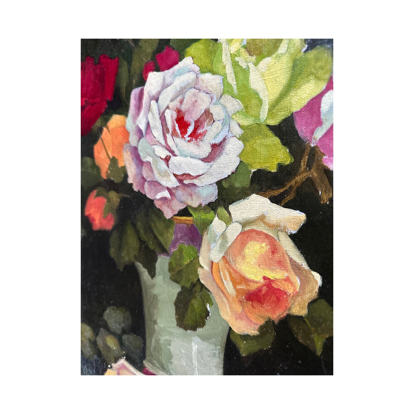 Colourful Roses