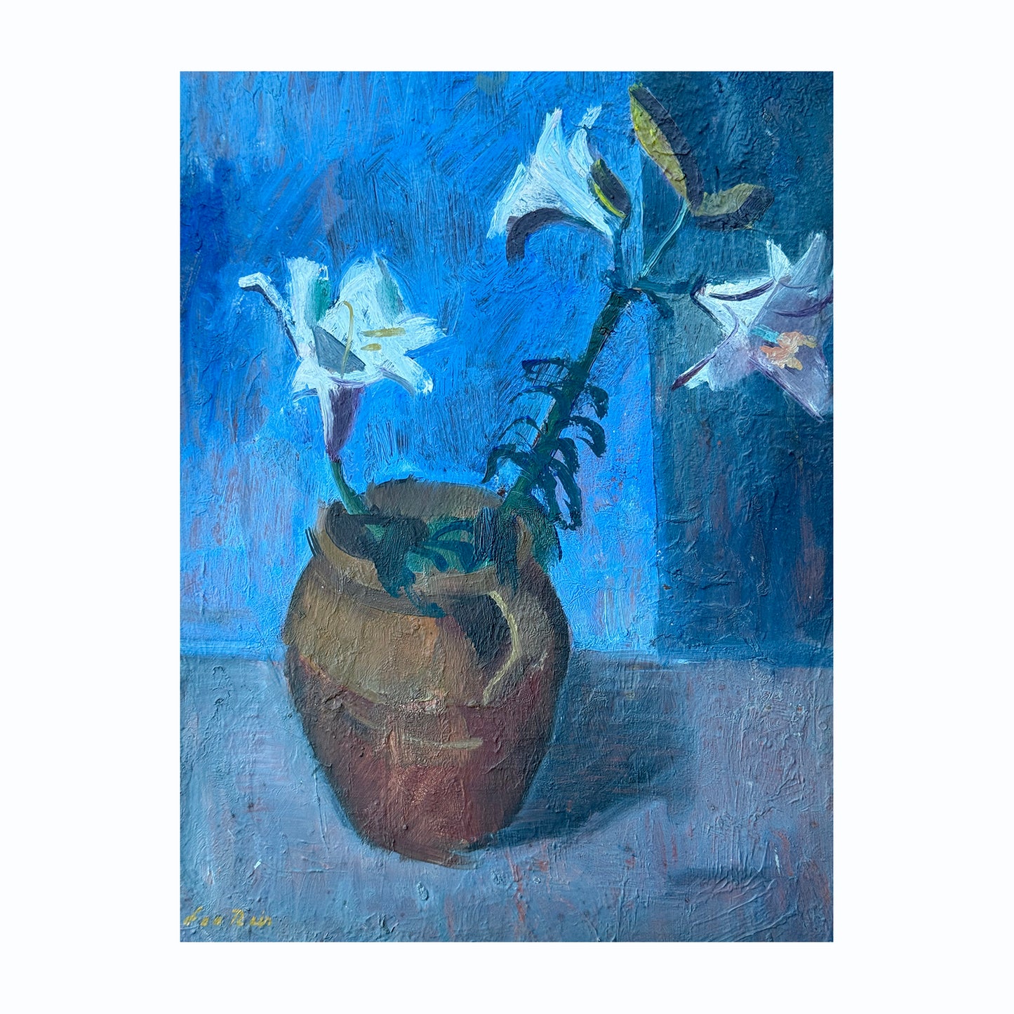 Lilies