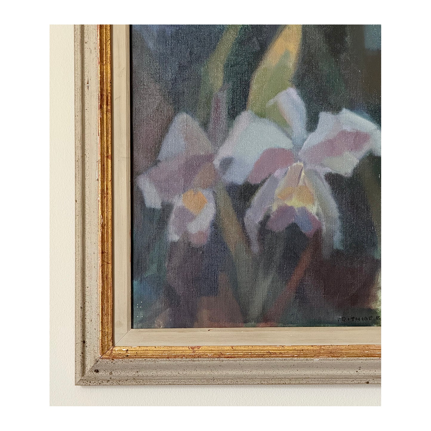 Orchids