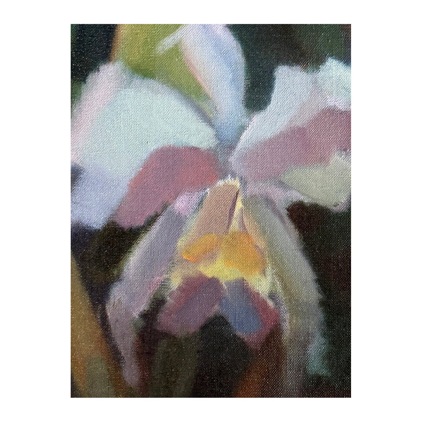 Orchids