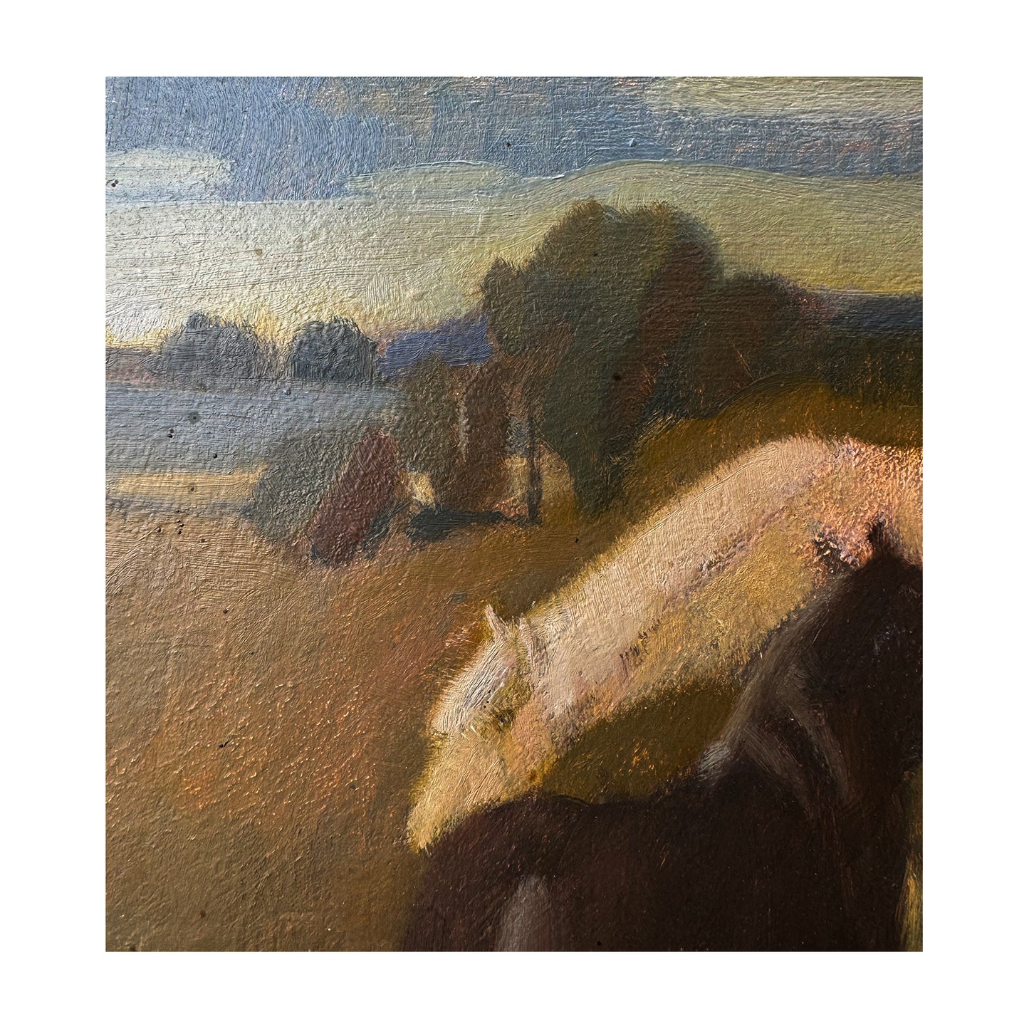 Two Horses