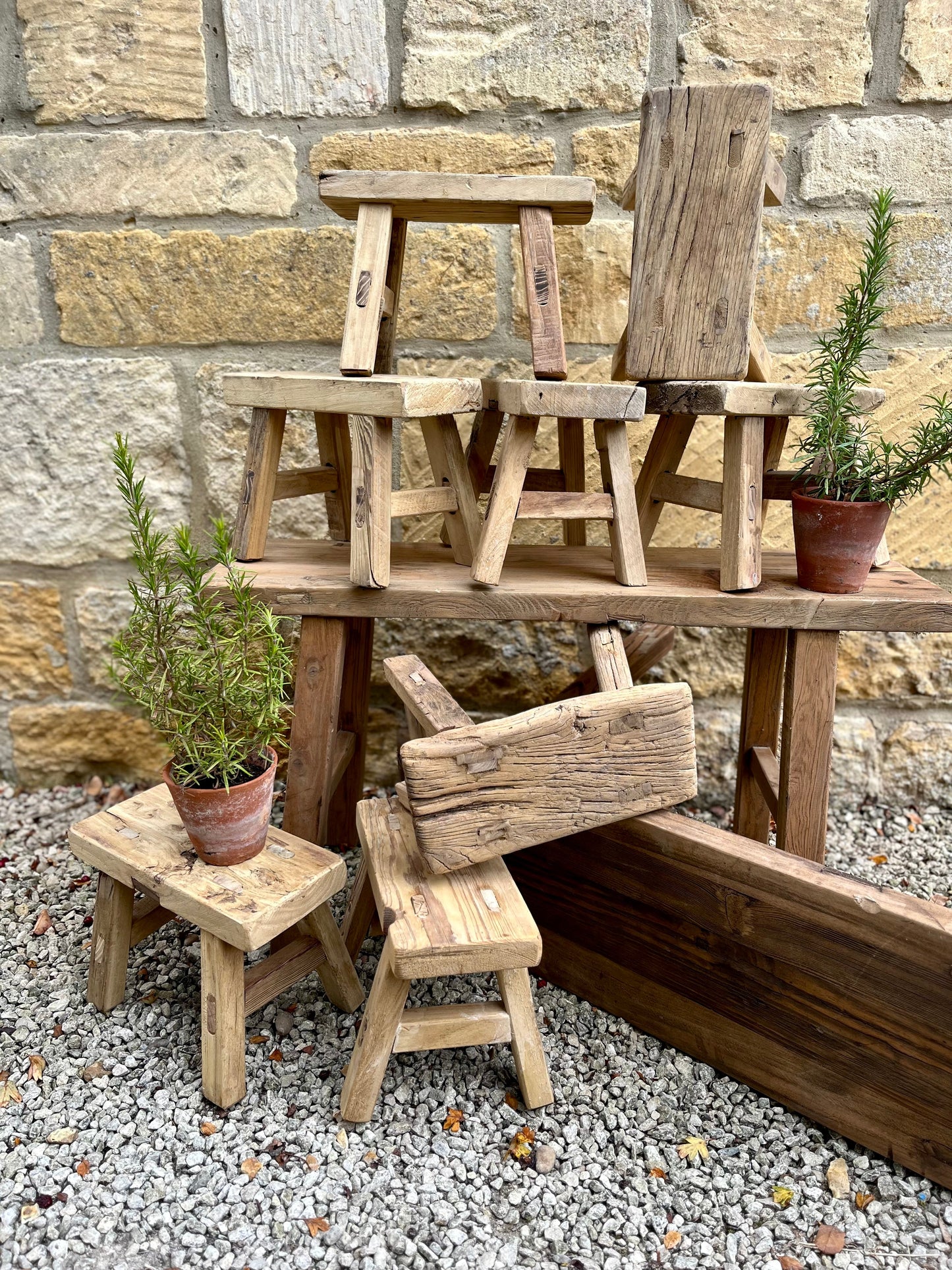 Mini Elm stools