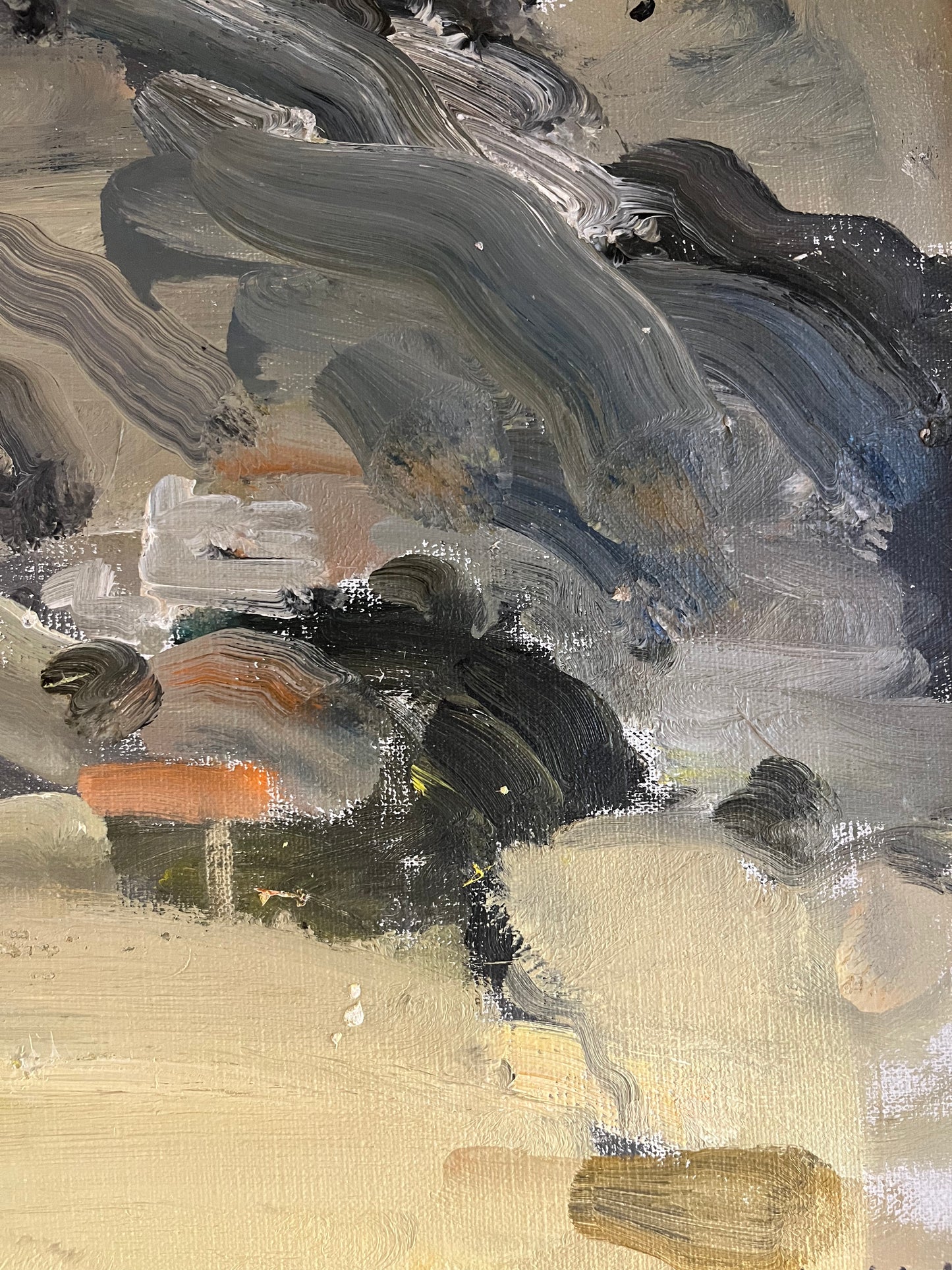 Swedish Landscape