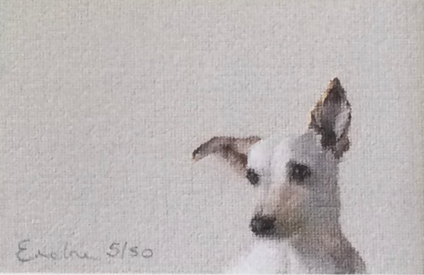 Little Terrier