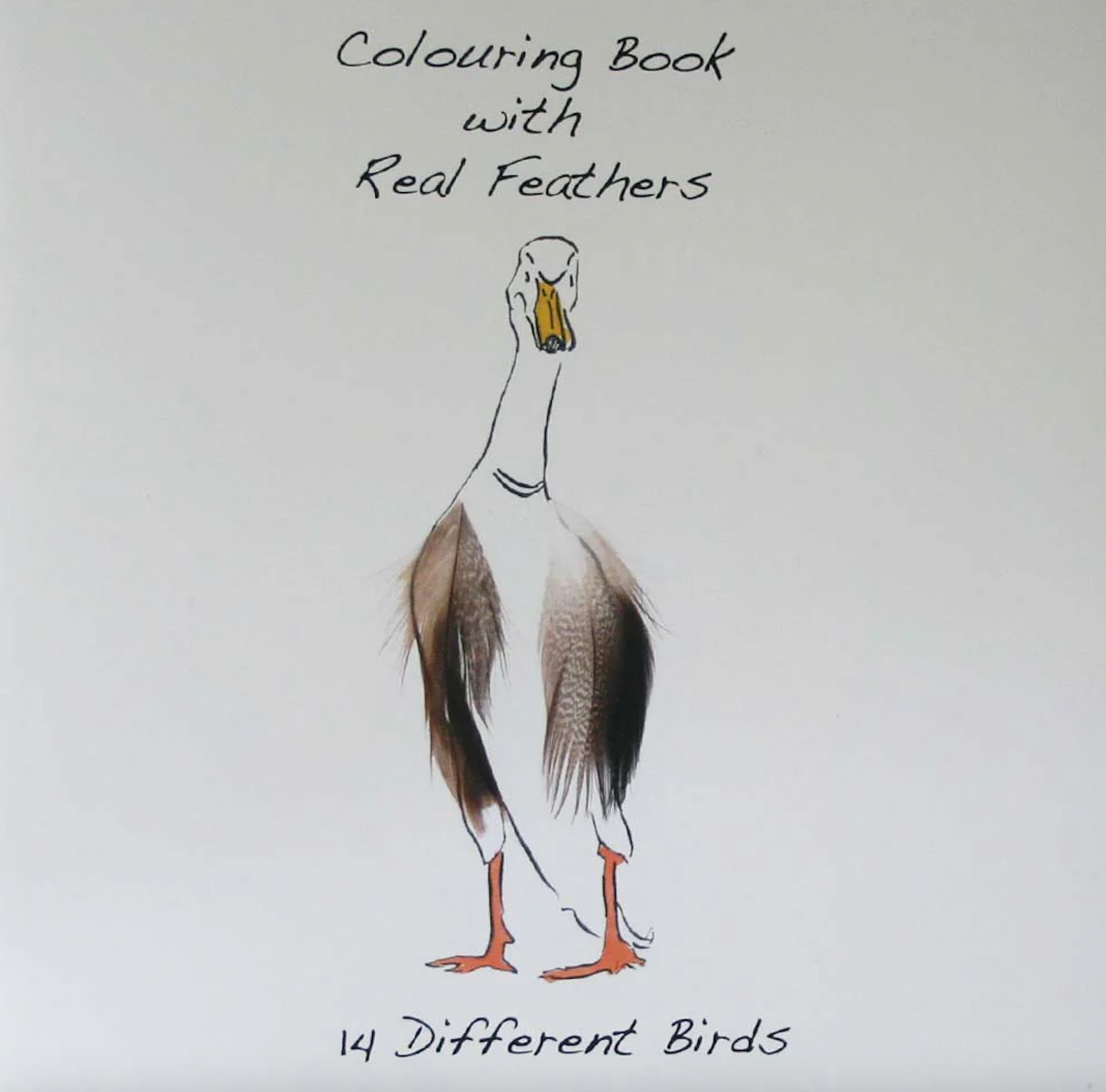 Colouring book with feathers