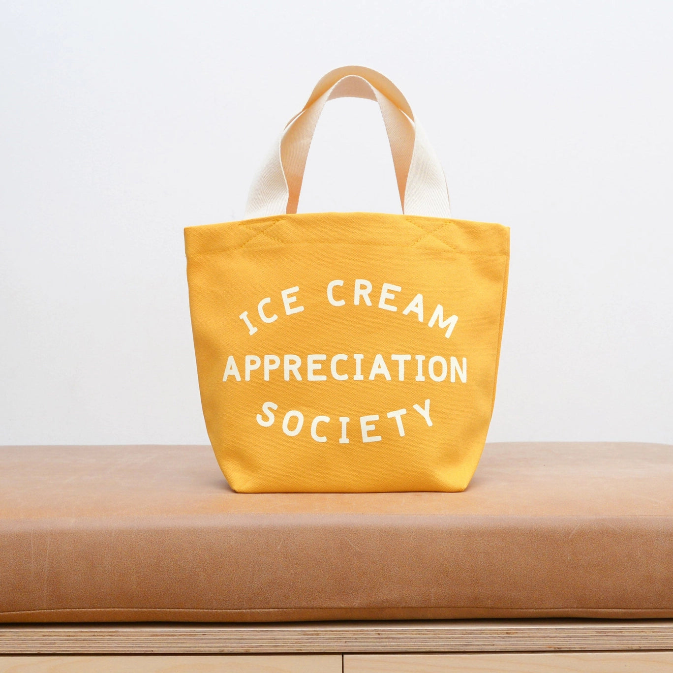 Ice Cream Bag