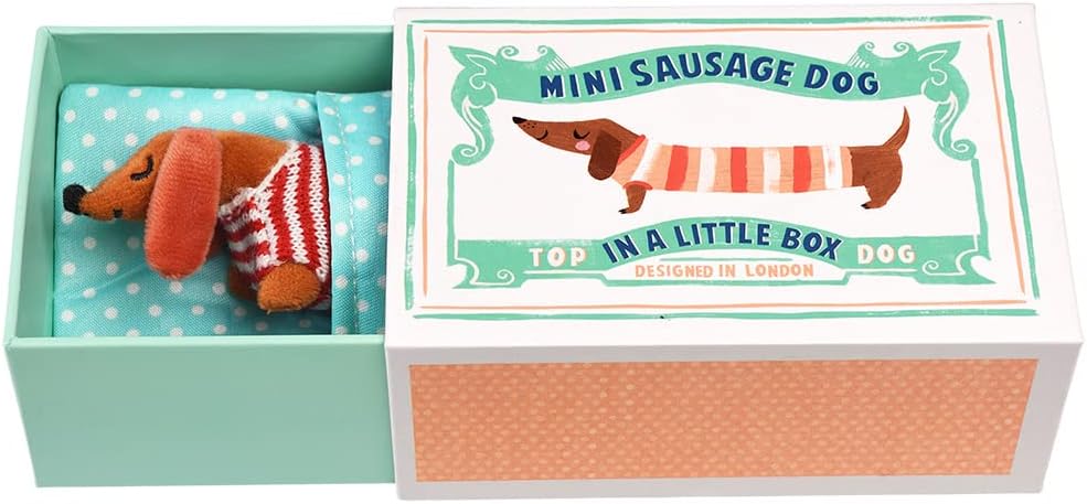 Sausage dog in a box