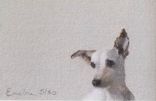 Little Terrier