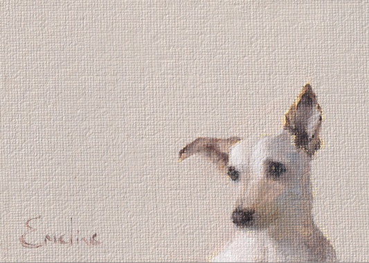 Pack of 4 Doggie Greetings Cards