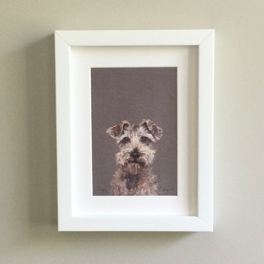 Shaggy Dog