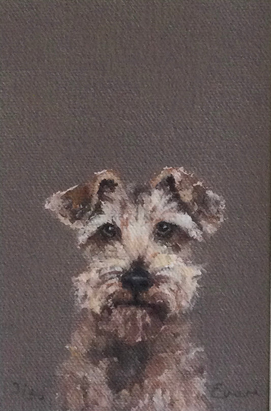 Shaggy Dog