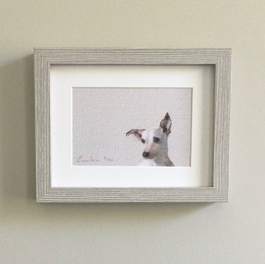 Little Terrier