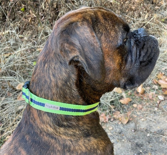 Collars